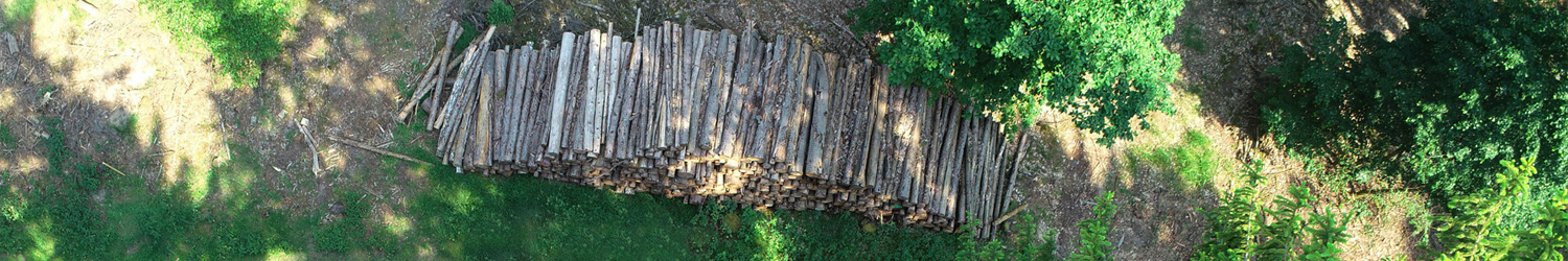 Blick von oben auf einen Holzstapel