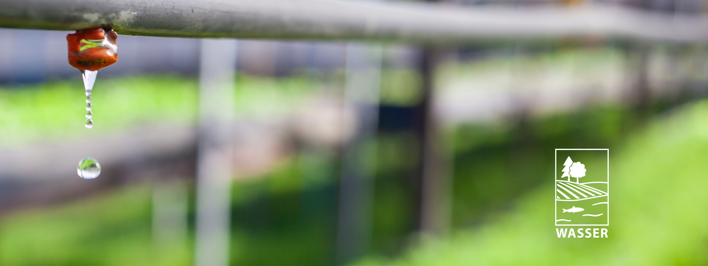 An einem Rohr für die Tröpfchenbewässerung hängt ein Tropfen Wasser und das Logo für den Themenschwerpunkt Wasser.