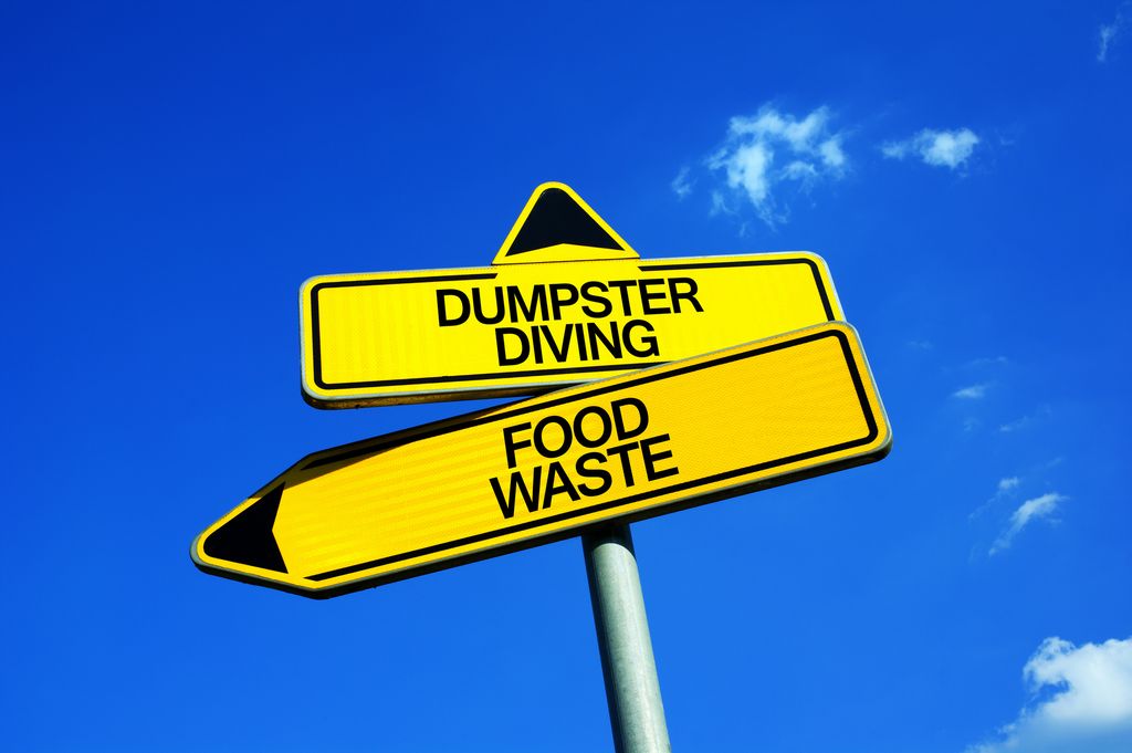 Zwei gelbe Schilder mit der Aufschrift Dumpster Diving (Mülltaucher) und Foodwaste (Lebensmittelverschwendung)