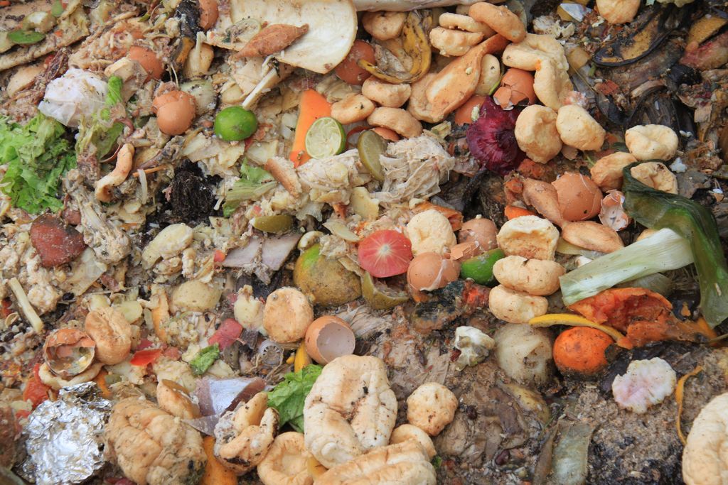Weggeworfene Lebensmittelreste unter anderem Brot, Brötchen, Zitrusfrüche und Salat