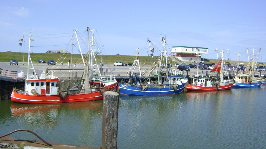 Shrimp boats in the harbour of Accumersiel
