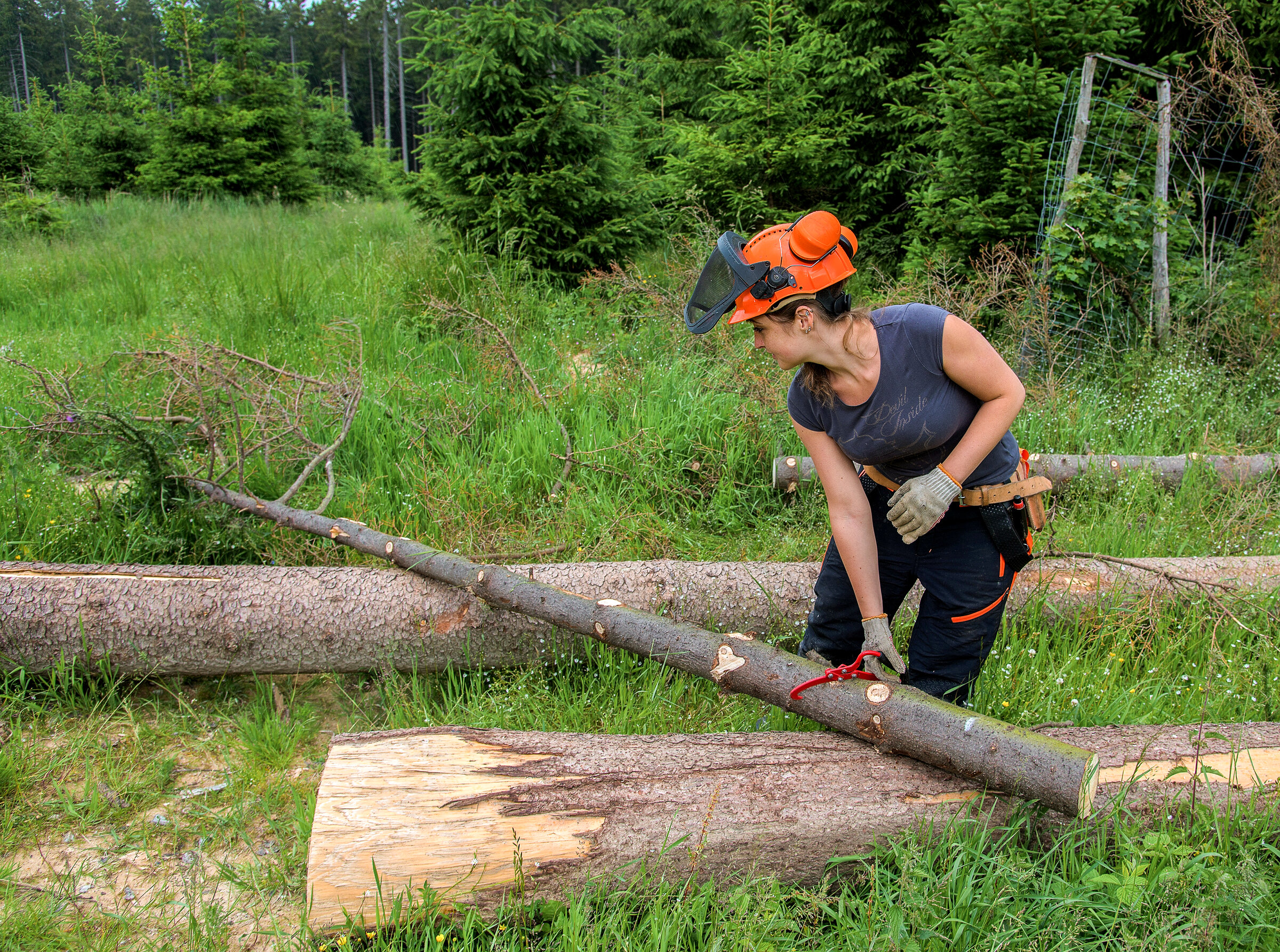 [Translate to English:] 