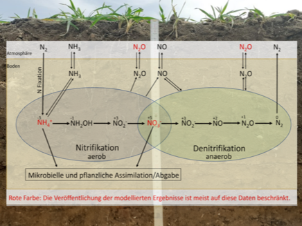 Ein Modell von Stickstoff und Lachgas im Boden mit Chemischer Formel
