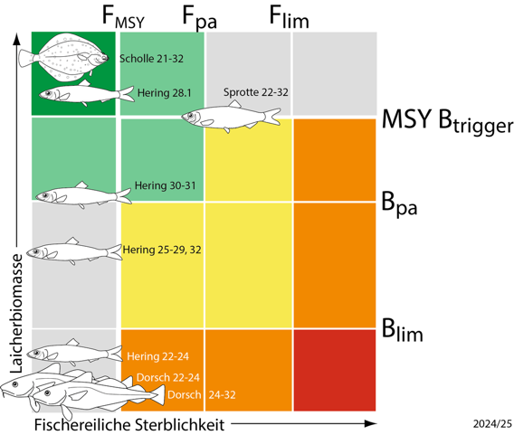 Eine Grafik, die zeigt welche Fischarten überfischt sind und welche nicht.