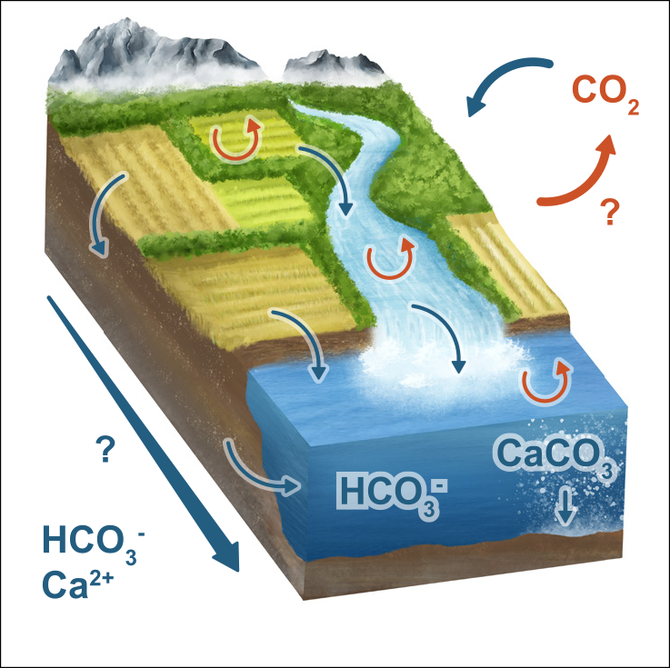 Schematic representation of accelerated rock weathering with transport of CO₂ and dissolved ions from land via rivers to the ocean.