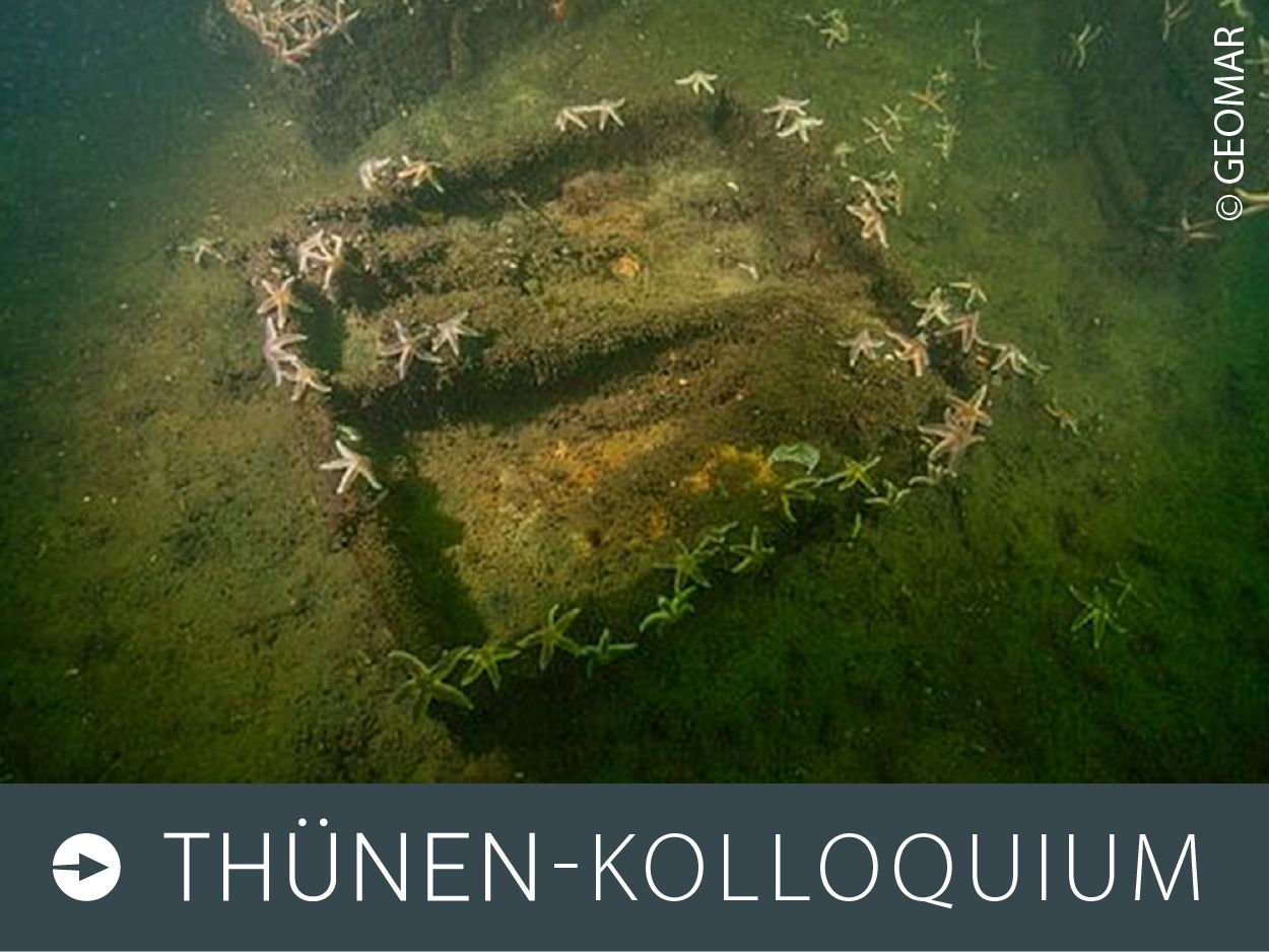 Foto zum Thünen-Kolloquium: Eine alte Munitionskiste auf dem Meeresboden.