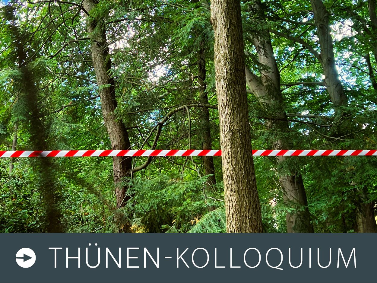 Foto zum Thünen-Kolloquium: Blick in einen dichten Wald, im Vordergrund abgetrennt durch ein rot/weißes Flatterband.