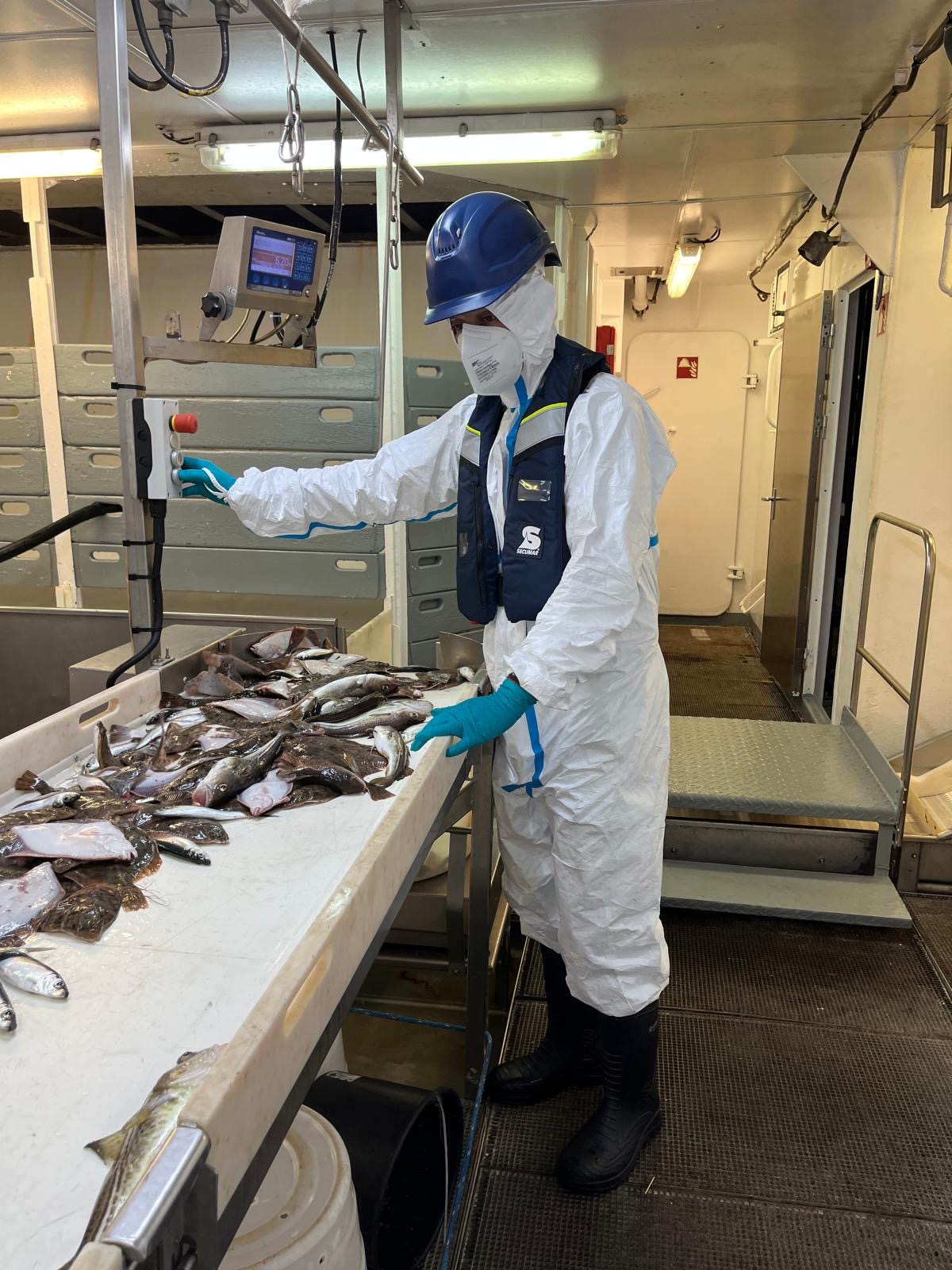 Sampling on the conveyor belt.