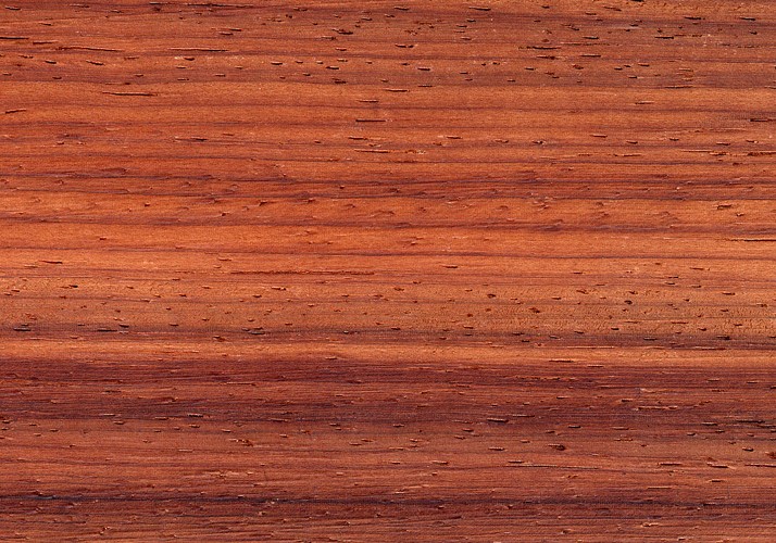 Ein Brett aus dem Tropenholz Padouk mit typischer Maserung